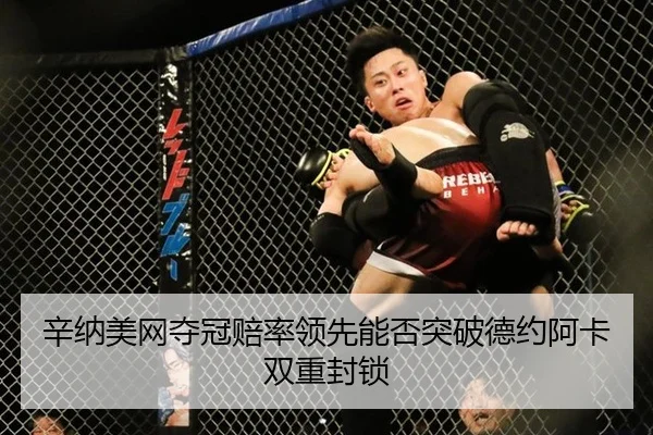 辛纳美网夺冠赔率领先能否突破德约阿卡双重封锁